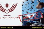 همت ستاد دیه و رهایی جوانی با دو دست از دست رفته