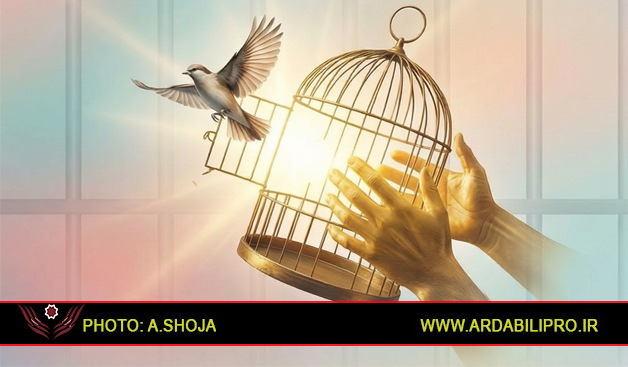 آزادی ۳۴۸ زندانی جرایم غیرعمد در اردبیل از ابتدای سال جاری