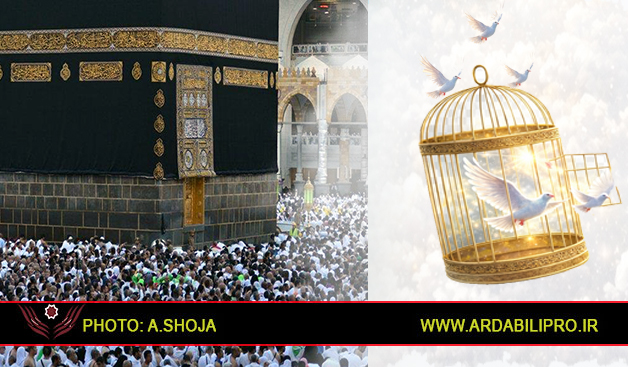 نیک‌اندیشی زائر سرزمین وحی گامی به سوی آزادی زندانیان غیرعمد