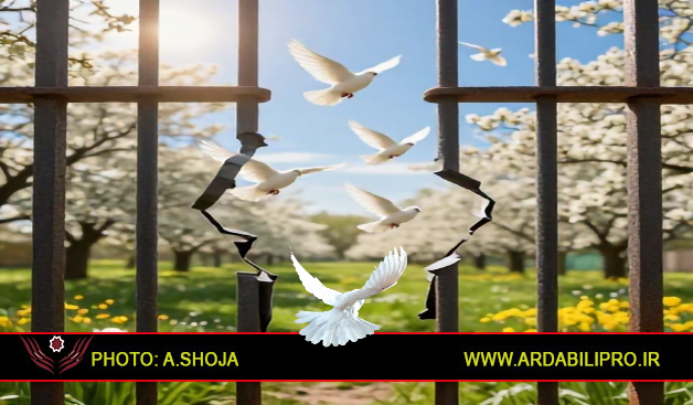 اهدای عیدی و فطریه یک بانوی اردبیلی برای آزادی زندانیان جرایم غیرعمد